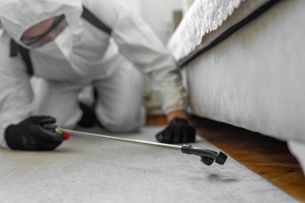 Professional Wasp Control technician working in DeFuniak Springs, FL