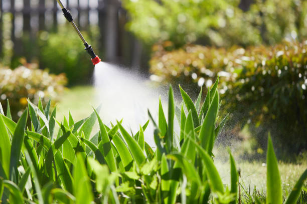 24/7 Emergency Mosquito Control experts in DeFuniak Springs, FL