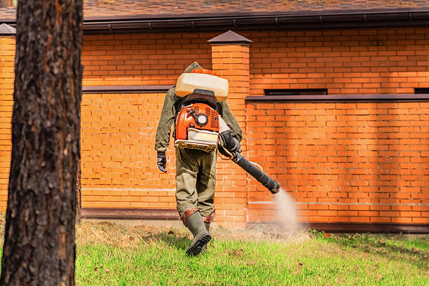 Trusted Ant Control service in DeFuniak Springs, FL - Nex Pest Control